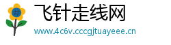 飞针走线网